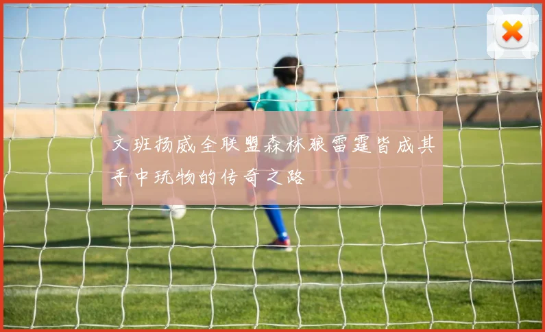 文班扬威全联盟森林狼雷霆皆成其手中玩物的传奇之路